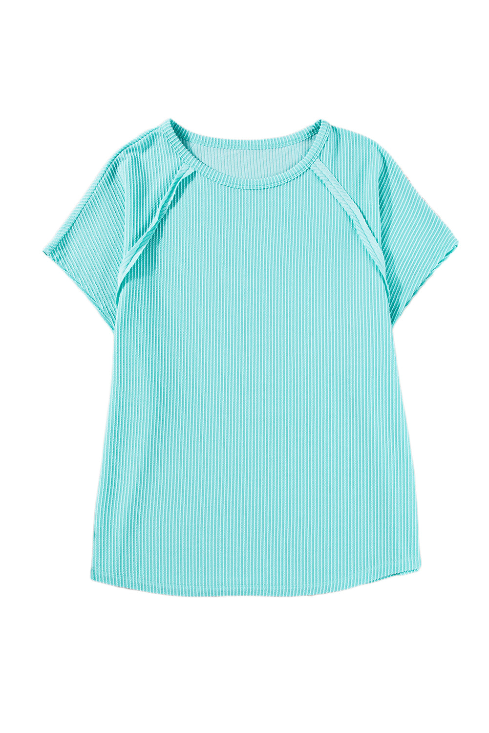 Light Blue Ribbed Exposed Seam Casual Plus Size T Shirt